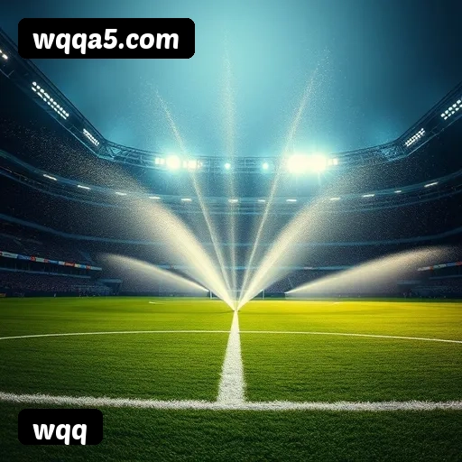 Níveis do programa VIP da wqq